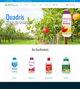 Website development services